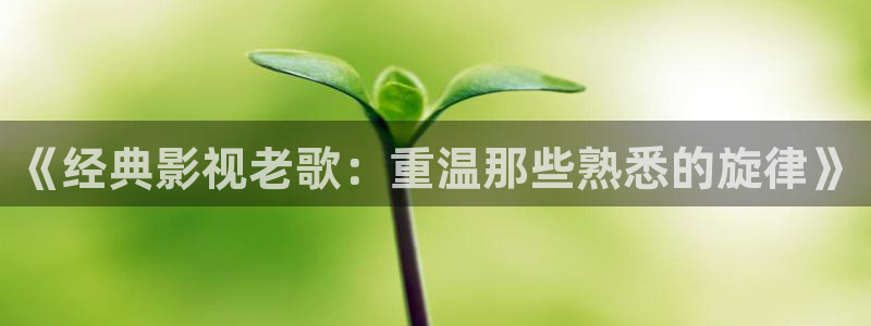 秋霞电影院在线播放